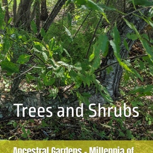 Ancestral Gardens - Millennia of Agricultural Genius: Trees and Shrubs - by Amyrose Foll