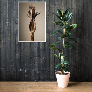 Heirloom Corn I - Framed Print