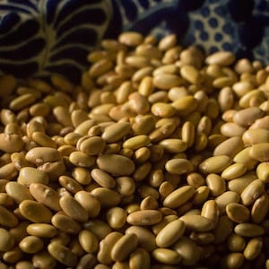 May include: A close-up image of a bowl filled with dried, pale yellow beans. The beans are oval-shaped and have a smooth texture.