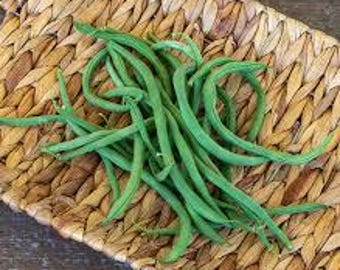 Lazy Wife Greasy Pole Snap Bean Seeds -  Seed Packet