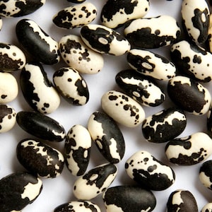 May include: A close-up of a collection of black and white speckled beans. The beans are arranged in a random pattern on a white surface.
