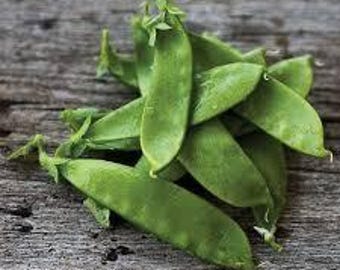 Oregon Giant Pea - Heirloom Peas Seeds - Seed Packet