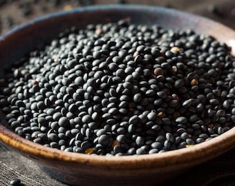 Black Beluga Lentils - Organic Heirloom Seeds