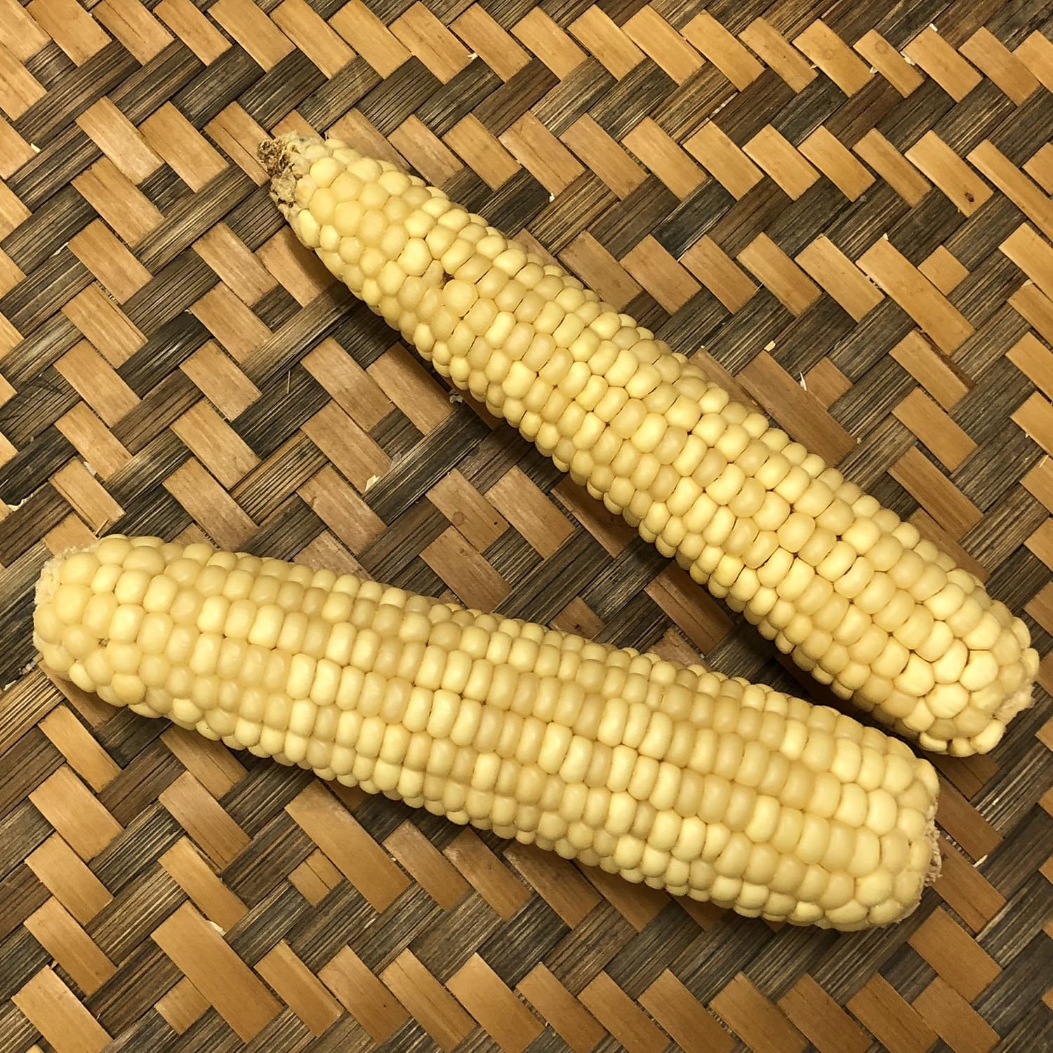 Ki kam Hu n - Pima 60 Day White Corn - Rare Southwest Cultivar