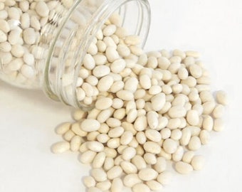 Alpena Bean Seed Packet