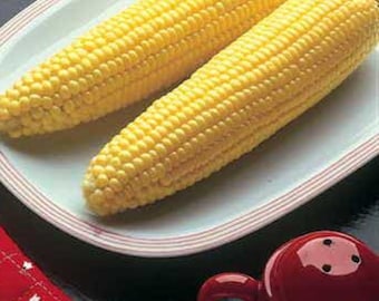 Bodacious Sweet Corn Seeds - Seed Packet