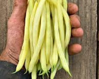 Bean, Bush Snap, 'Gold Rush' Seeds -  Seed Packet
