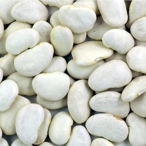 Peut inclure: Gros plan sur un tas de gros haricots blancs de Lima. Les haricots sont en forme de rein et ont une texture lisse et crémeuse. Ils sont étroitement tassés, remplissant le cadre.