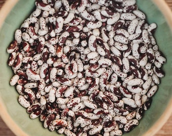 Jacob's Cattle Bean Seeds