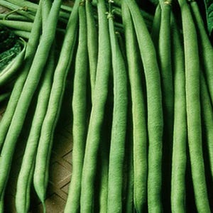 May include: Close-up of fresh, vibrant green string beans. The beans are long and slender, with a smooth texture. The image highlights the natural color and shape of the vegetables, showcasing their freshness and quality. A healthy food item.