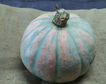 Pueblo Highlands Landrace Squash Seeds