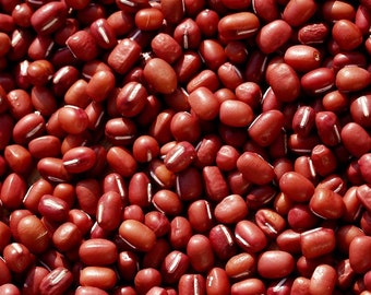 Adzuki Beans - Seed Packet