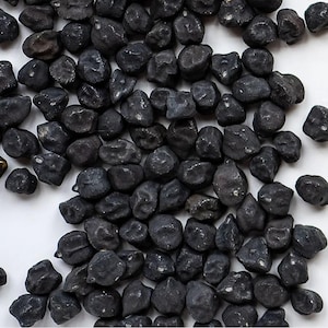 Peut inclure: Gros plan sur un tas de pois chiches noirs sur fond blanc. Les pois chiches sont de forme irrégulière et présentent une surface sombre et texturée. L'image est bien éclairée, mettant en valeur les détails des légumineuses.