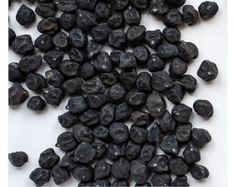 Black Butte Chickpea Seeds - Chickpeas Seed Packet