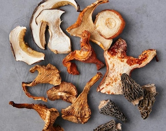 Mushroom Medly - Wild Foraged - Dehydrated Mixed Forest Mushrooms