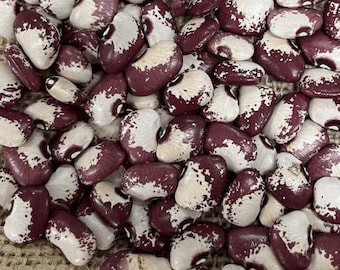 Lima Bean Seeds - Aubrey Deane - Pole Lima Bean Seed Packet