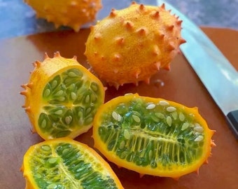 Kiwano Melon - African Horned Jelly Blowfish Fruit - Seed Packet