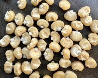 Narragansett Tribe White Flint Corn Seed Packet - White Cap Johnny Cake
