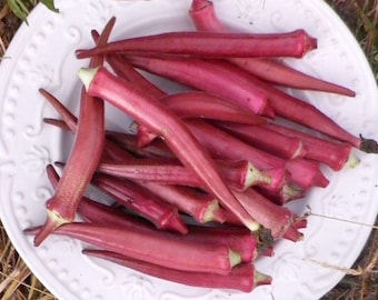 Okinawa Pink Okra Seed Packet