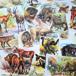 Vintage Wild Animal Scraps, Wildlife Junk Journal Kit, Animal Scrapbook Kit, Vintage Nature Scraps, Animals of the World, Animal Scraps.