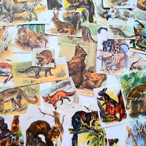 Vintage Nature Scraps, Vintage Wild Animal Scraps, Animals of the World, Vintage Junk Journal Kit, Scrapbook Kit, Animal Scraps.