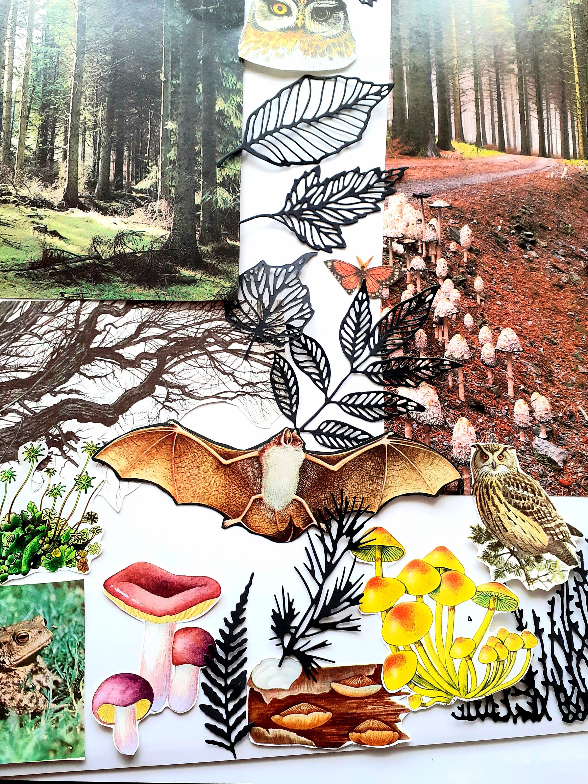 Spooky Forest Scrapbook Kit Forest Journal Kit Forest Scraps Etsy