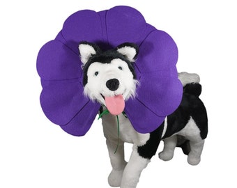 Purple Flower Dog Costume (Puppy Costume, Cat Costume, Halloween Costume)
