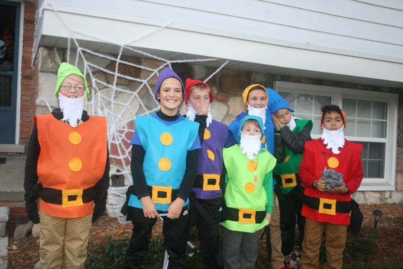 snow white and seven dwarfs costume