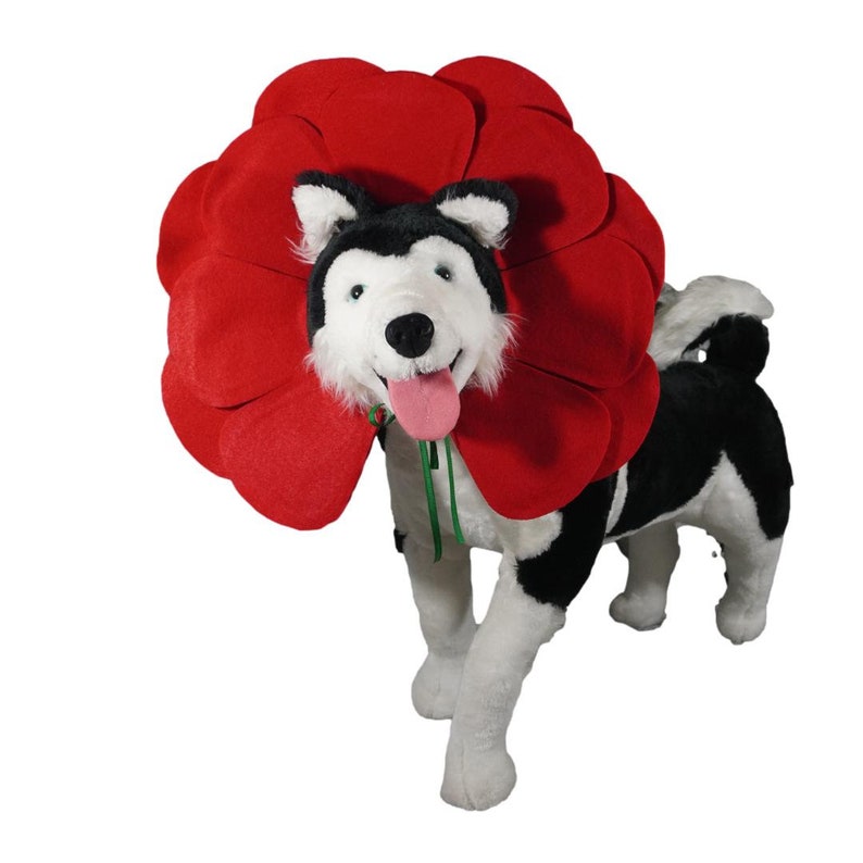May include: A plush black and white husky dog wearing a red flower costume. The dog is standing on a white background.