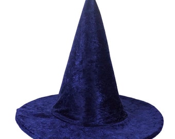 May include: A blue velvet witch hat with a tall, pointed crown and a wide brim.