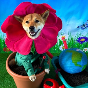 Pink Flower Pet Costume (Dog, Cat, Puppy, Kitten)