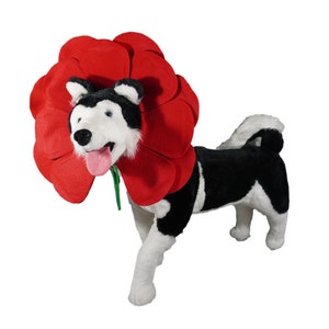 May include: A black and white plush dog wearing a large red felt flower costume. The dog is standing on a white background.