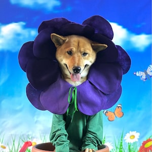 Purple Flower Pet Costume (Dog, Cat, Puppy, Kitten)
