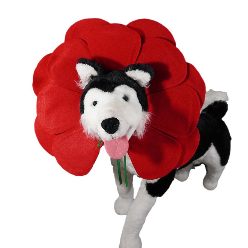 May include: A plush husky dog wearing a red felt flower costume. The flower has multiple petals and is worn around the dog's neck.