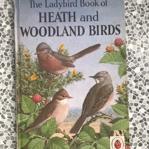 A Ladybird Book of Heath and Woodland Birds John Leigh-Pemberton series 536