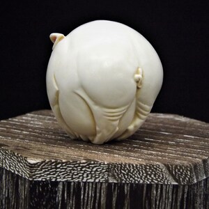 May include: A white carved ivory sculpture of a pig, standing on a wooden base.