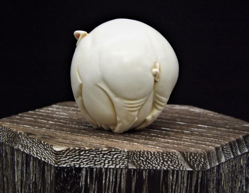 May include: A white carved ivory sculpture of a pig, standing on a wooden base.