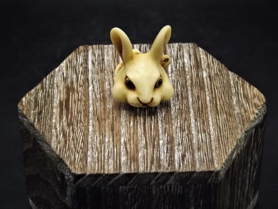 Adam Binder Netsuke rabbit Mask. Rabbit Face Being Worn by a Turtle ...