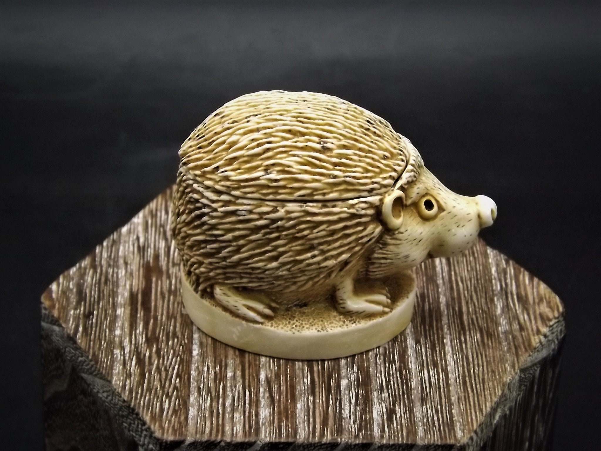 Harmony Kingdom Hedgehog - Etsy