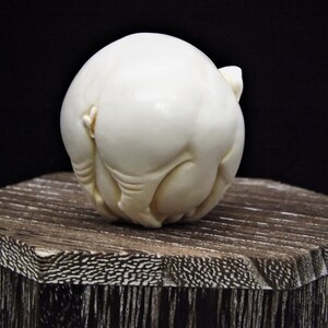 May include: A white, carved, ivory sculpture of a pig curled into a ball.