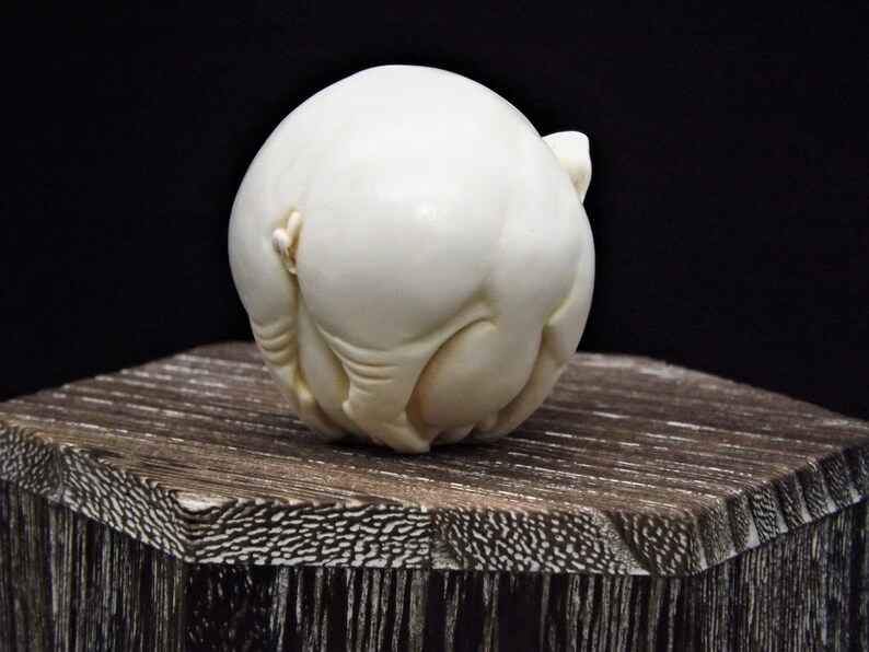 May include: A white, carved, ivory sculpture of a pig curled into a ball.
