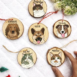 Pet ornament, Christmas Ornament, Dog Ornament, Cat Ornament, Personalized Gift, Housewarming Gift, Pet Loss Gift, Pet Memorial, Custom Orna