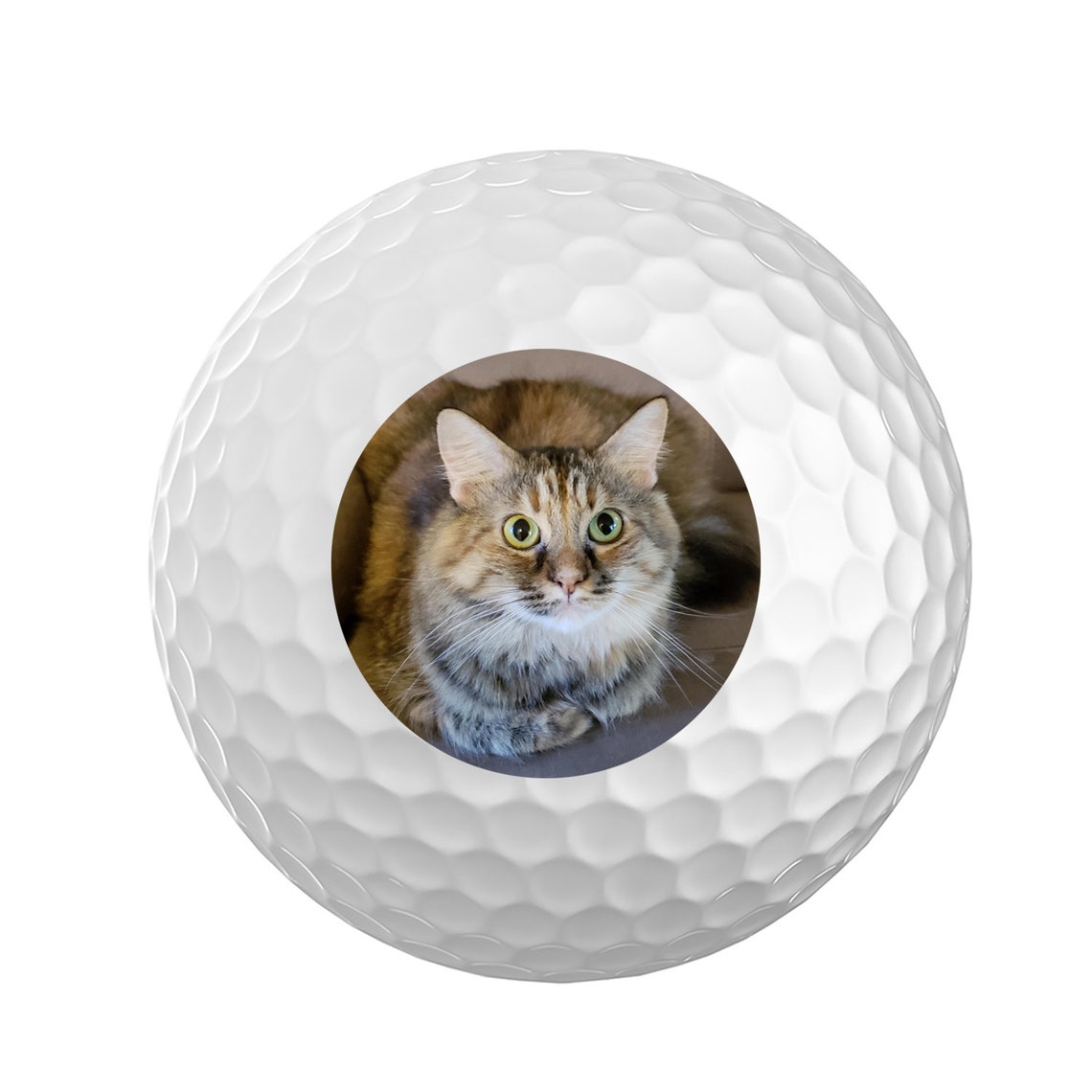 Your Pet Portrait on Golf Ball Set Set of Three Custom Golf - Etsy