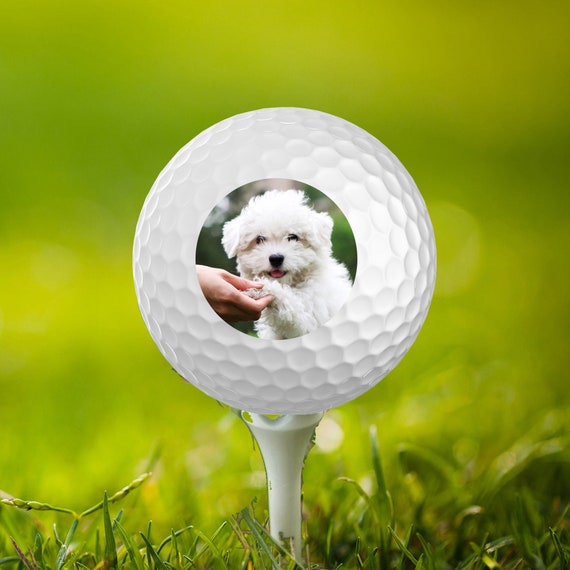 pet golf ball