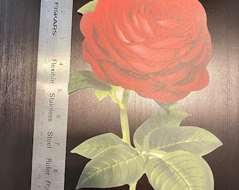 Anna Griffin Large Vintage Diecuts.