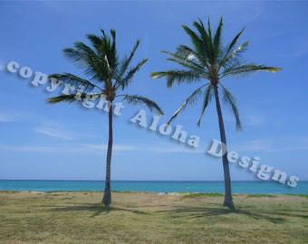 Palm Tree Note Cards - vuota all'interno
