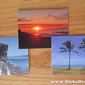 Paquete combinado de cartas de notas tropicales - en blanco en el interior