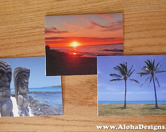 Tropicale nota carte combo pack - vuota all'interno
