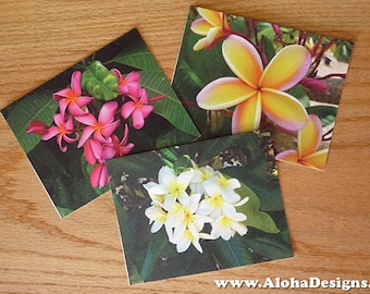Plumeria Note Cards combo pack - blank inside