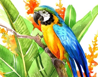 Blue and Gold Macaw Parrot in the Jungle artwork, original watercolor  painting